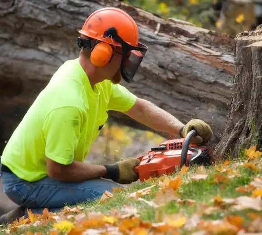 tree services Mar-Mac